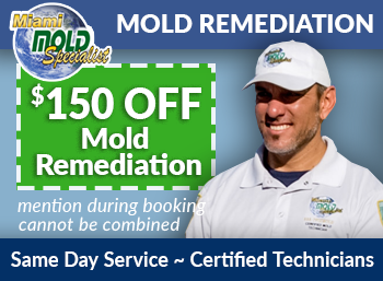 dania beach Mold Remediation  Miami Mold Specialists