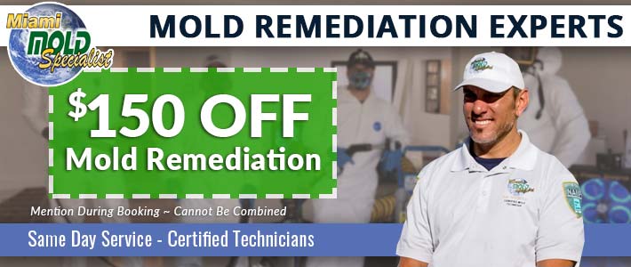 dania beach Mold Remediation  Miami Mold Specialists