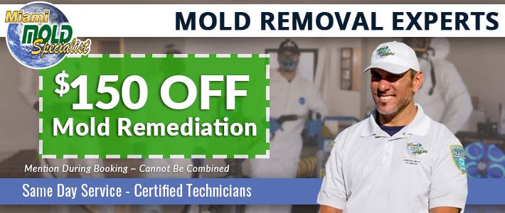 south florida mold removal  Miami Mold Specialists