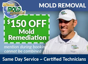 south florida boat mold removal Miami Mold Specialists